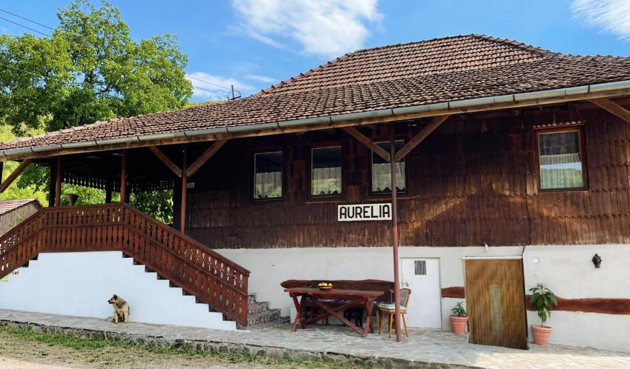Casa Aurelia Hotel Chiscau Bagian luar foto