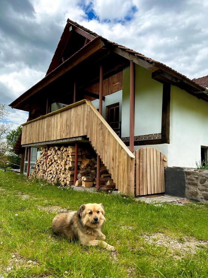 Casa Aurelia Hotel Chiscau Bagian luar foto